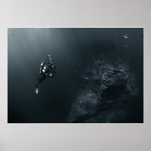 Poster Fotografe duiker (Voorkant)