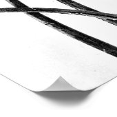 Poster- Fotografie-Karl Blossfeldt 8 Poster (Hoek)