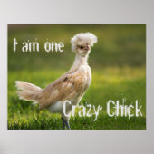 Poster Fou Chick Funny (Devant)