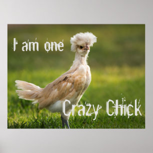 Poster Fou Chick Funny