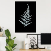 Poster Fougère - Gymnogramma L'herminieri. Effet radiogra (Bureau à domicile)