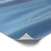 Poster Foulque macroule (Coin)