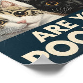 Poster Four Cats & a Question : Es-tu en train de vomir ? (Coin)