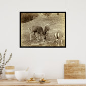 Poster Four Deer Eating in Hot Springs SD 1891 (Cuisine)
