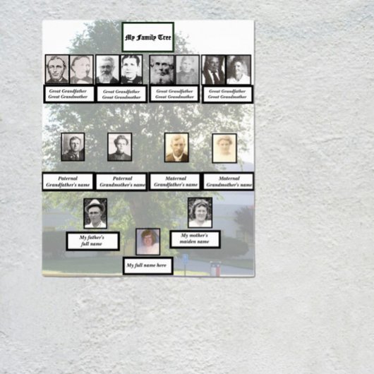 Poster Four-Generation Chinese Elm Family Tree Photos