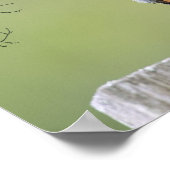 Poster Fournisseur Bluebird (Coin)