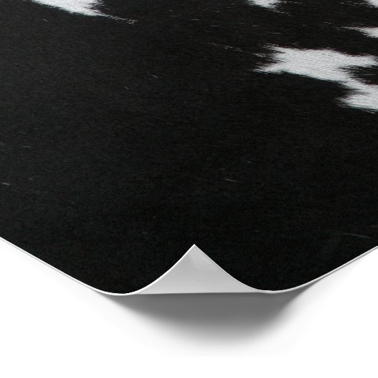 Poster Fourrure de vache (Coin)