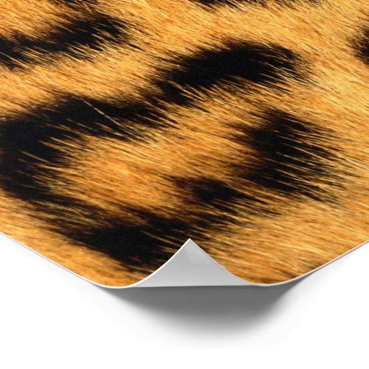 Poster Fourrure Jaguar (Coin)