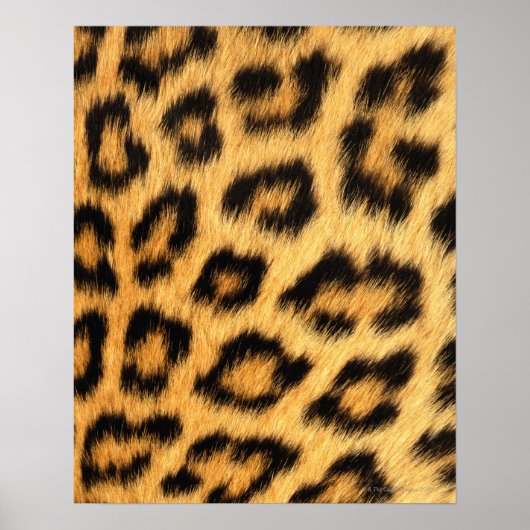 Poster Fourrure Jaguar (Devant)