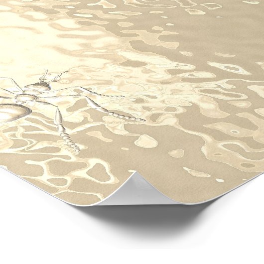 POSTER FOUS ! (Coin)