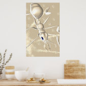 POSTER FOUS ! (Cuisine)