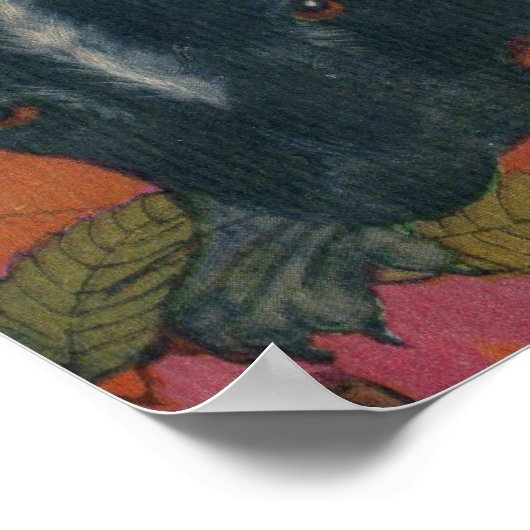 Poster foutre (Coin)