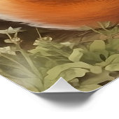 Poster Fox (Coin)