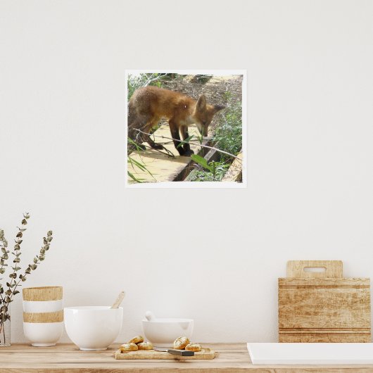 Poster Fox 2 (Cuisine)