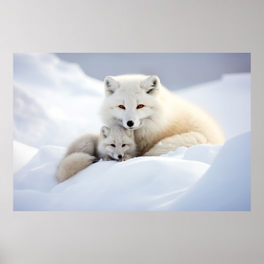 Poster Fox Animal Wild Beauté Liberté Wilderness Wall Art (Devant)