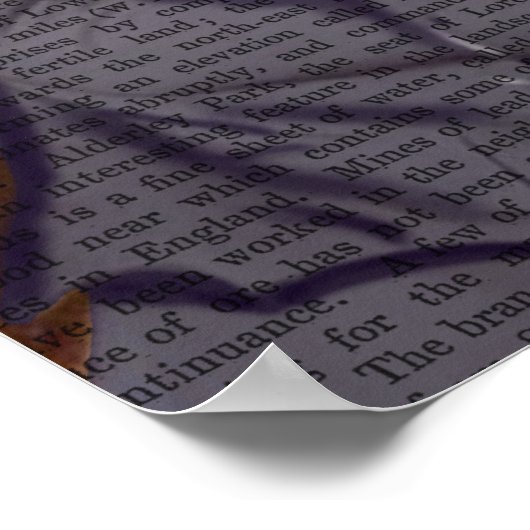 Poster Fox Avec Flûte (Coin)