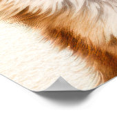 Poster Fox Daisy Lunettes de soleil Woodland Nursery (Coin)