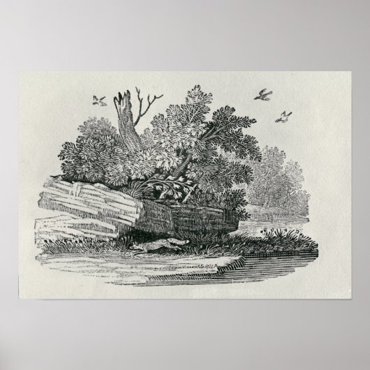 Poster Fox escapade,"L'histoire générale de (Devant)