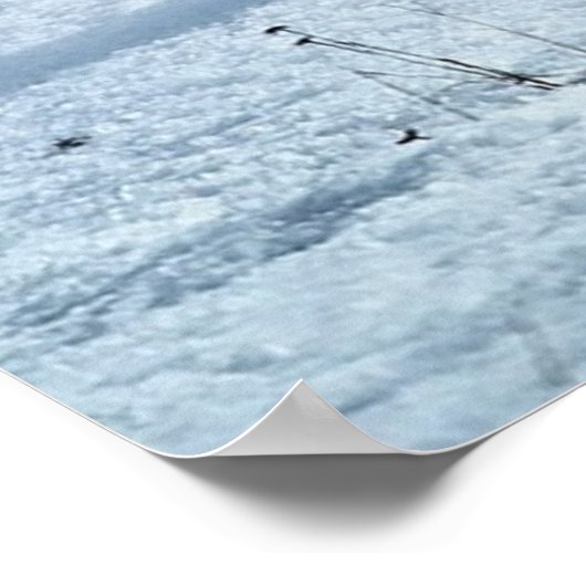 Poster Fox et amis (Coin)