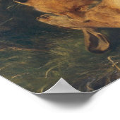 Poster Fox et lièvre, 1866 (Coin)