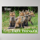 Poster Fox Free Thinker (Devant)
