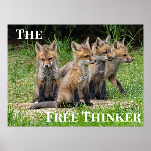 Poster Fox Free Thinker (Devant)
