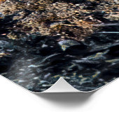 Poster Fox furtif (Coin)