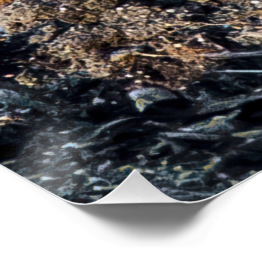 Poster Fox furtif (Coin)