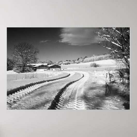 Poster Fox Hill Farm (Devant)