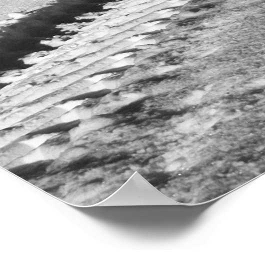 Poster Fox Hill Farm (Coin)