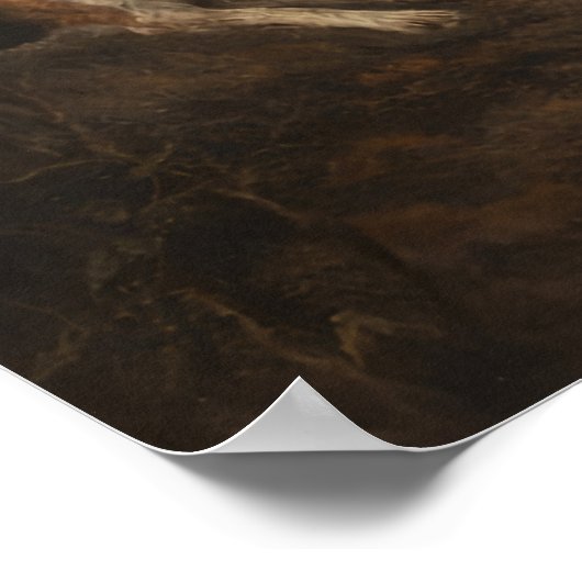 Poster Fox Hunt (Coin)