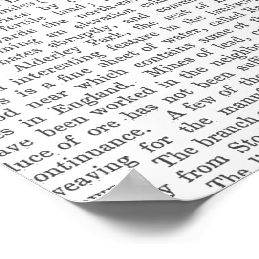 Poster Fox Hunter (Coin)