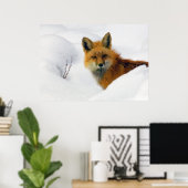 Poster fox in rocky mountain national park (Bureau à domicile)