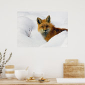 Poster fox in rocky mountain national park (Cuisine)