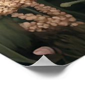 Poster Fox Parmi Les Blooms Du Printemps (Coin)