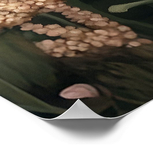 Poster Fox Parmi Les Blooms Du Printemps (Coin)