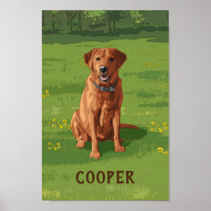 Poster Fox Red Yellow Labrador Retriever Chien
