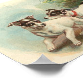Poster Fox Terriers (Coin)