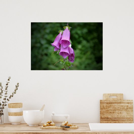 Poster Foxglove Down Light (Cuisine)