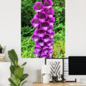 Poster Foxglove Flowers, Oregon (Bureau à domicile)