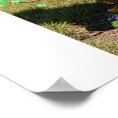 Poster Foyer d'arbre tordu (Coin)