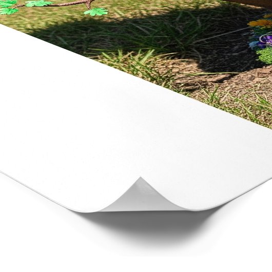 Poster Foyer d'arbre tordu (Coin)