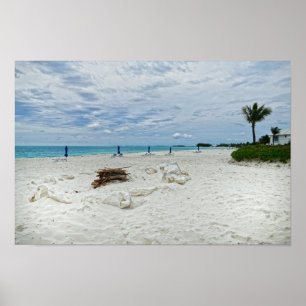 Poster Foyer de feu de la plage des Bahamas