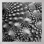 Poster Fractal à légumes de Fibonacci, Romanesco Broccoli (Devant)