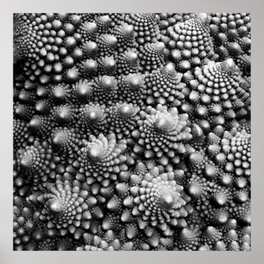 Poster Fractal à légumes de Fibonacci, Romanesco Broccoli (Devant)