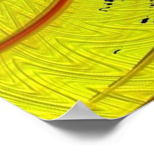 Poster Fractal Art 41 (Coin)