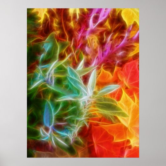 Poster Fractal Autumn Leaves Rainbow (Devant)
