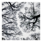 Poster Fractal Zwollenaar (Devant)