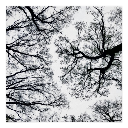 Poster Fractal Zwollenaar (Devant)