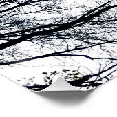 Poster Fractal Zwollenaar (Coin)